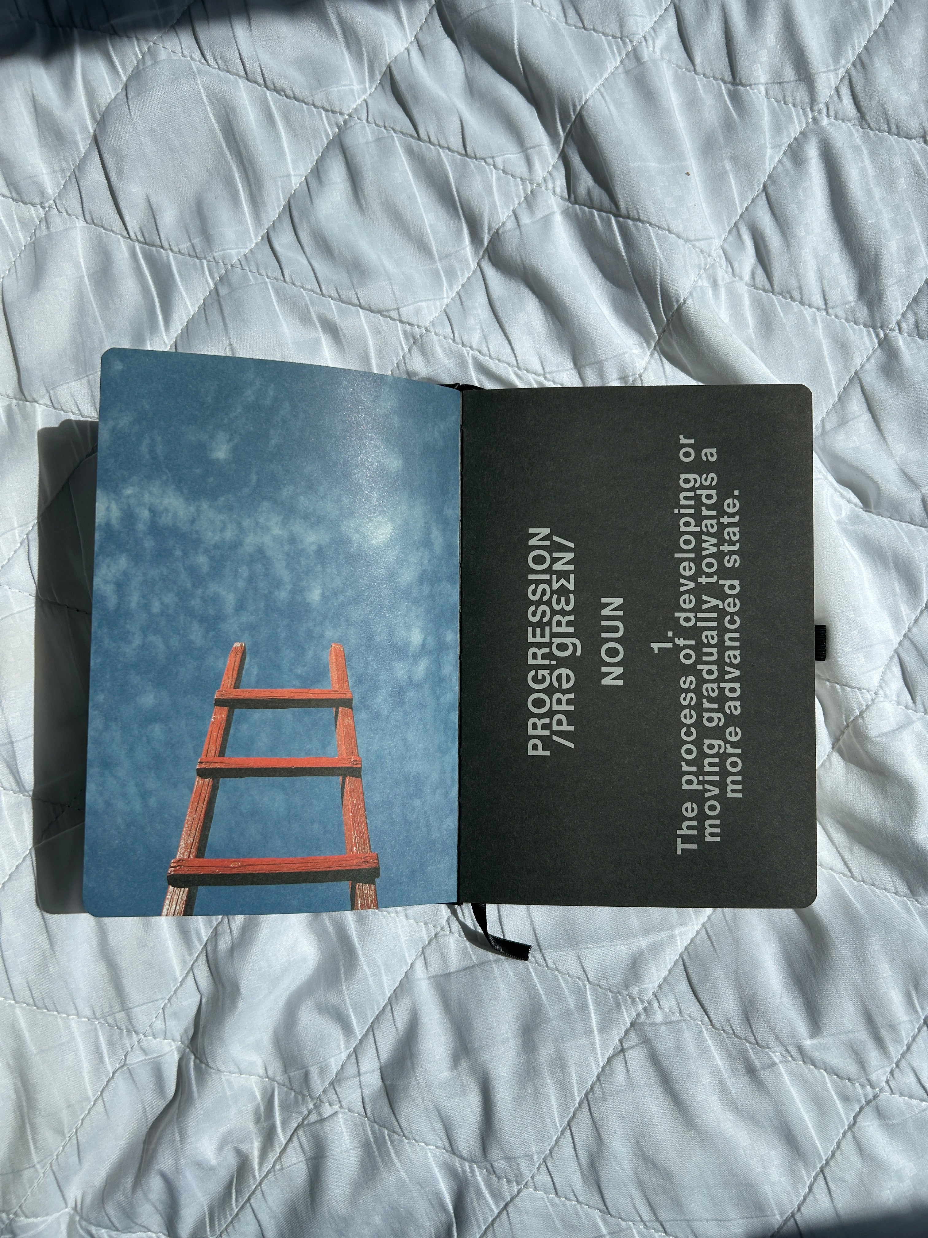 The .1 Diary (Available Now!)